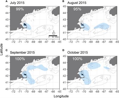 Exploring the Use of Seabirds as a Dynamic Ocean Management Tool to Mitigate Anthropogenic Risk to Large Whales